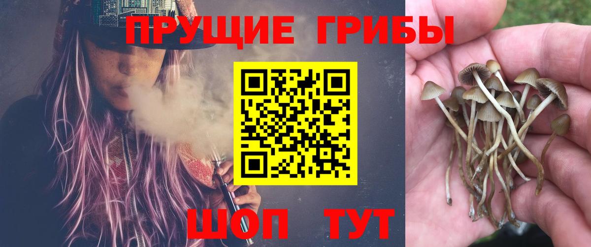 Галлюциногенные грибы мицелий  Вход с VPN  купить наркотики сайты  Галлюциногенные грибы GOLDEN TEACHER  Ярцево 
